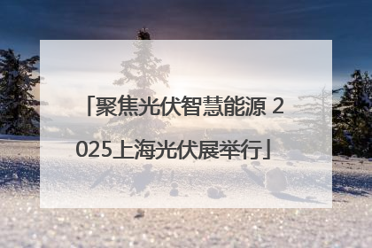 聚焦光伏智慧能源 2025上海光伏展举行